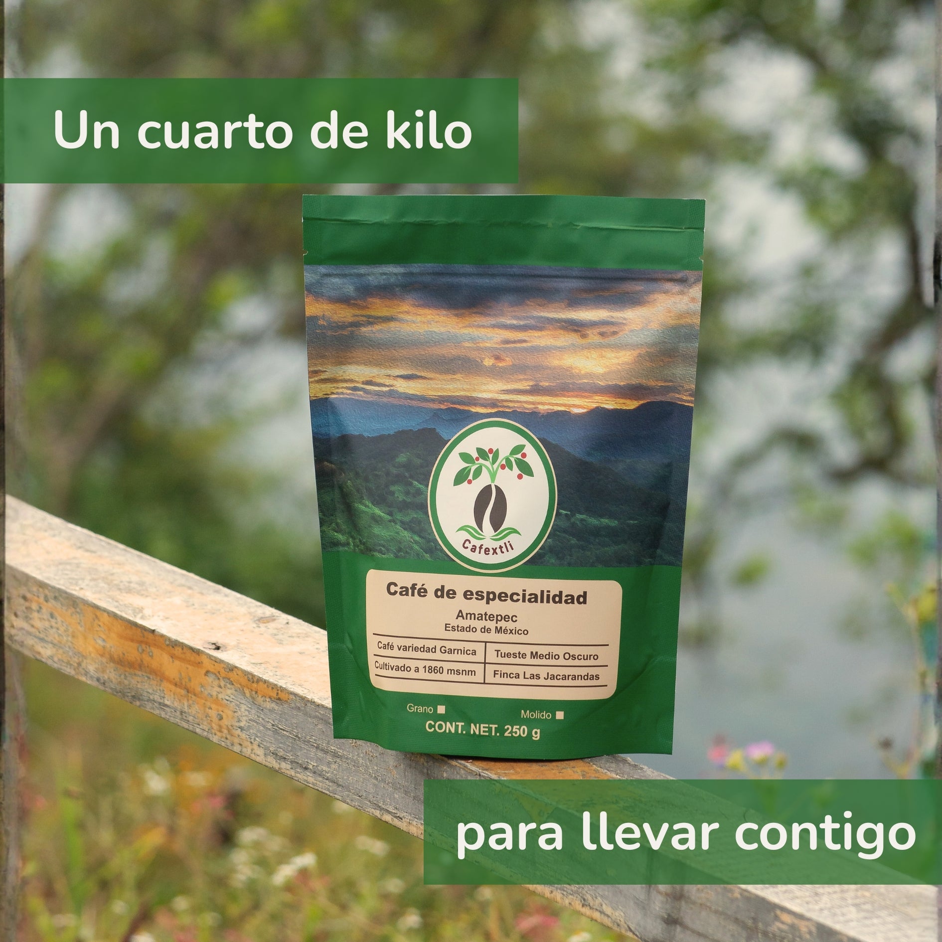 Café en Grano 250 gr.
