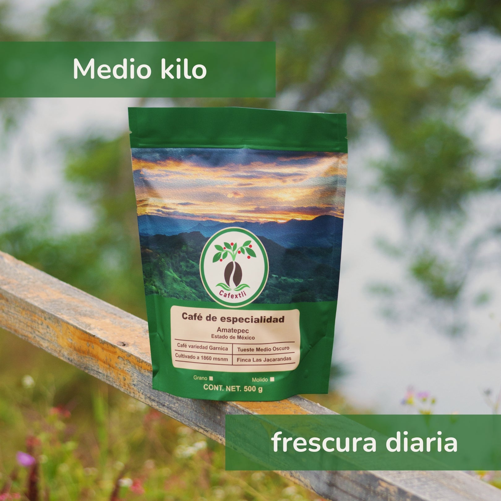 Café en Grano 500 gr.